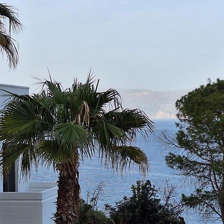 Delfini Apartments Kissamos Exterior photo