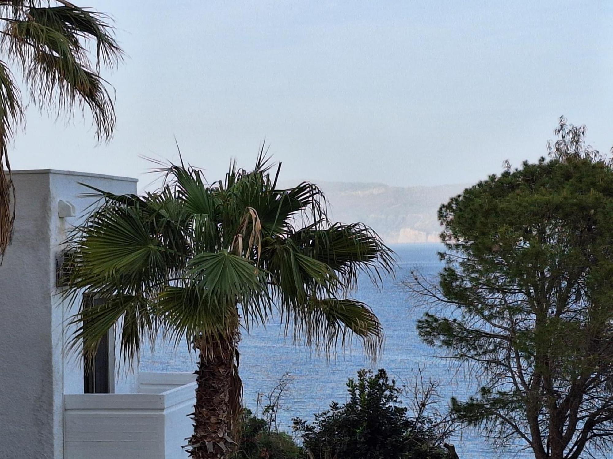 Delfini Apartments Kissamos Exterior photo